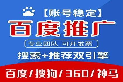 SEM推广实战：案例分析与优化